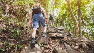 Einige junge Wanderer wandern durch einen Wald.