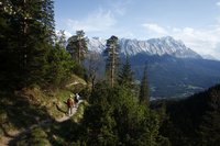 Zwei Wanderer laufen auf einem Waldweg vom Betrachter weg in den Bildhintergrund, dort sieht man ein großes Gebirgsmassiv.