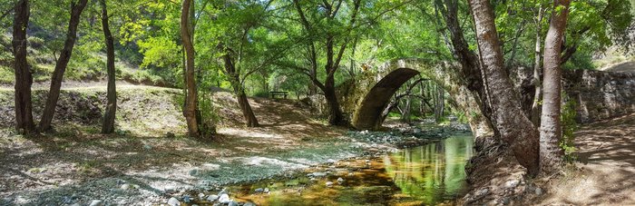Ein Fluss fließt auf Zypern durch einen Wald. Eine alte Steinbrücke führt über den Fluss.