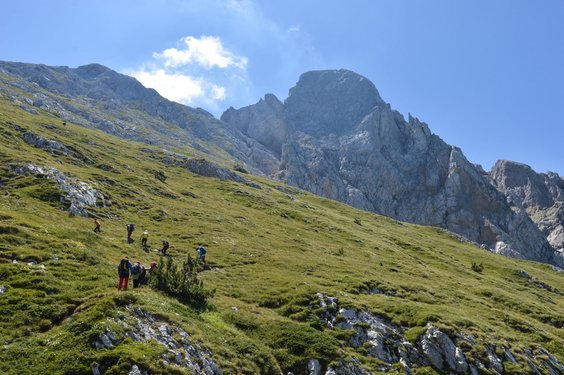 Eine Gruppe wandert über grüne Hänge zum Gipfel des Kom Vasojevicki im Komovi-Gebirge.