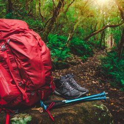 Ein roter Wanderrucksack nebst -schuhen und -stöcken steht in einer Waldlandschaft.