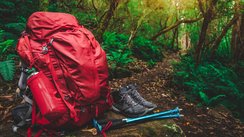 Ein roter Wanderrucksack nebst -schuhen und -stöcken steht in einer Waldlandschaft.