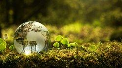Die Welt nachhaltig erkunden Auf Moos gebettet liegt eine Weltkugel aus Glas.