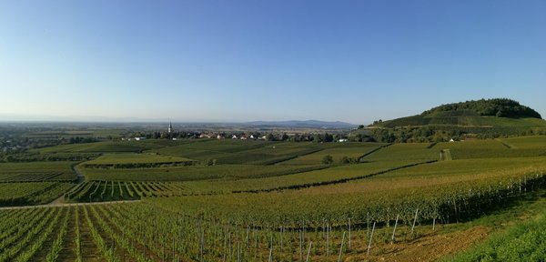 Wanderpanorama im Markgräflerland Landschaft mit Weinfeldern und Hügeln im Markgräflerland.