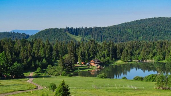 Haus am See umgeben von Bäumen 