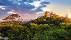 Auf einem Hügel im Sintra-Nationalpark erhebt sich rechts im Hintergrund der Palast von Pena.