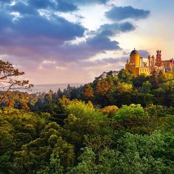 Auf einem Hügel im Sintra-Nationalpark erhebt sich rechts im Hintergrund der Palast von Pena.