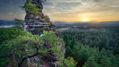 12 Meter hoher Felsen, der über eine Leiter erklommen werden kann