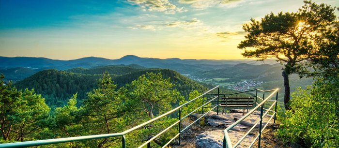 Bank auf einer Aussichtsplattform im Pfälzerwald