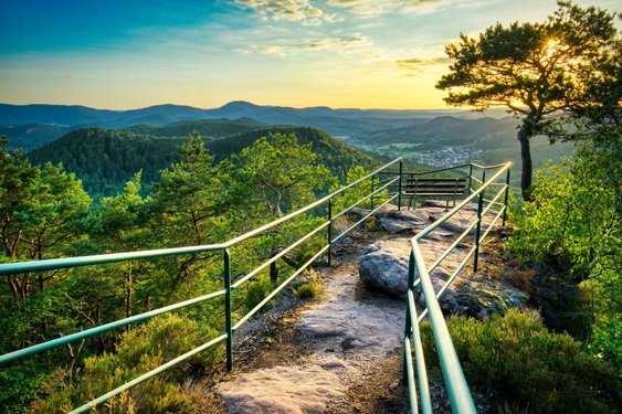 Wandern durch den wunderschönen Pfälzerwald Bank auf einer Aussichtsplattform im Pfälzerwald