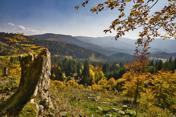 Ausblick auf die Herbstlandschaft in der Niederen Tatra in der Slowakei