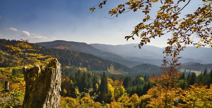 Ausblick auf die Herbstlandschaft in der Niederen Tatra in der Slowakei