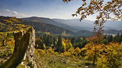 Ausblick auf die Herbstlandschaft in der Niederen Tatra in der Slowakei
