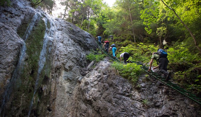Wanderer bahnen sich einen Weg durch die Natur im Nationalpark Slowakisches Paradies