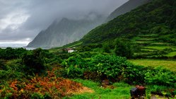 Viel Grün auf São Jorge Üppig wuchernde Vegetation bedeckt die Ebenen und Hänge auf São Jorge. Links im Hintergrund glitzert der Atlantik.