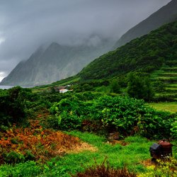 Üppig wuchernde Vegetation bedeckt die Ebenen und Hänge auf São Jorge. Links im Hintergrund glitzert der Atlantik.
