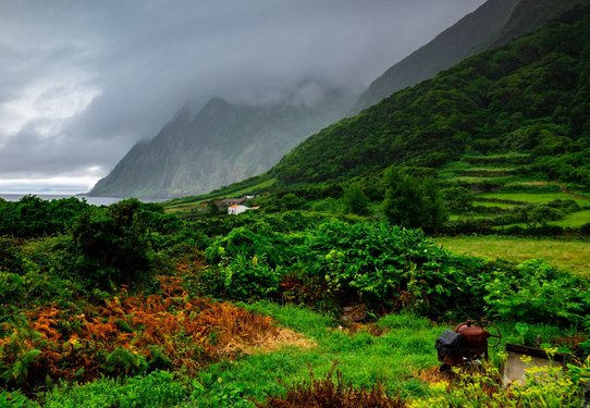 Üppig wuchernde Vegetation bedeckt die Ebenen und Hänge auf São Jorge. Links im Hintergrund glitzert der Atlantik.