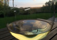 Die Pfalz: Deutschlands zweitgrößtes Weinanbaugebiet Durch ein Glas mit Weißwein schaut man auf eine grüne Landschaft.