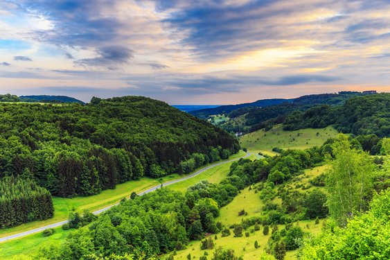 Ein Wanderweg umsäumt von grünen Wiesen und Wäldern