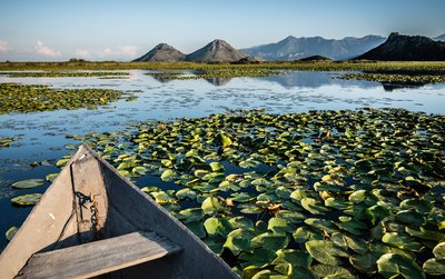 Mit dem Boot auf dem Skadar-See Ein Boot auf einem klaren See mit Bergen im Hintergrund