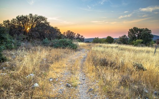 Ein Wanderweg in der Abendsonne