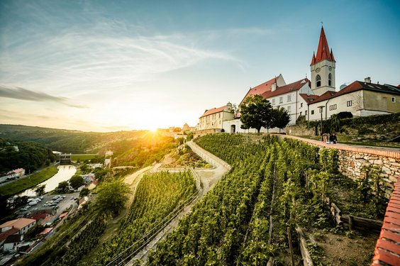 Blick über die Weinhänge auf St. Nikolaus Im Vordergrund erstrecken sich Weinhänge, während sich rechts im Hintergrund über den Hängen eine Kirche erhebt.
