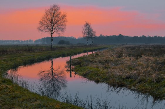 Ein Flüsschen windet sich durch das Teufelsmoor unter einem rosa gefärbten Abendhimmel.