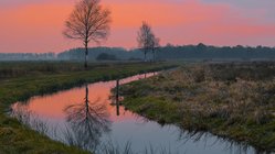 Ein Flüsschen windet sich durch das Teufelsmoor unter einem rosa gefärbten Abendhimmel.