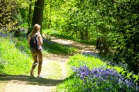 Eine Frau wandert durch einen grünen Wald entlang von blühenden Blumen