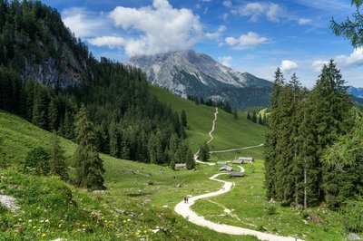 Geschlängelter Wanderweg zum Jenner im Berchtesgadener Land
