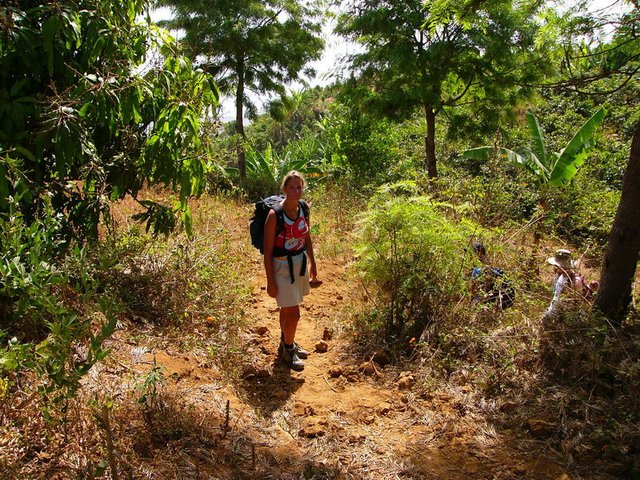 Wanderin auf Wanderweg zwischen Büschen und Bäumen