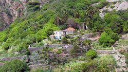 Häuser inmitten grüner Pflanzen auf der Insel Brava