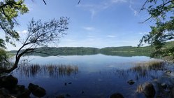 Zwischen zwei Bäumen hindurch blickt man über den Laacher See.