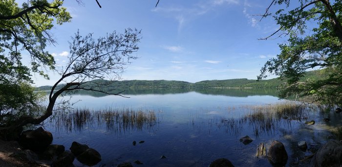 Zwischen zwei Bäumen hindurch blickt man über den Laacher See.