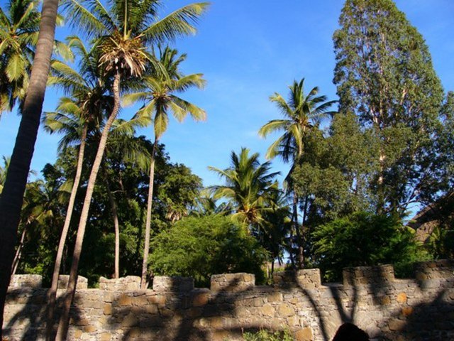 Palmen und strahlend blauer Himmel