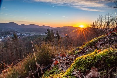 Herbstlicher Sonnenaufgang im Pfälzerwald Von einem mit Heidekraut und Moos bewachsnen Hügel öffnet sich ein weiter Blick über den Pfälzerwald, im Hintergrund rechts geht die Sonne hinter den Hügeln auf.