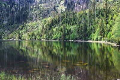 Der Plöckensteinsee im tschechischen Nationalpark Sumava Der Plöckensteinsee in Tschechien