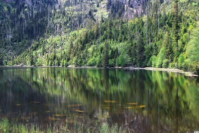 Der Plöckensteinsee in Tschechien