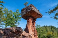 Der Teufelstisch Die Felsformation Teufelstisch im Pfälzerwald ragt hinaus in einen leuchtend blauen Himmel.