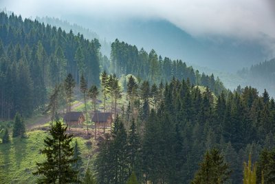 Atmosphärische Landschaft in der Niederen Tatra Zwei rustikale Holzhütten stehen umgeben von Nadelwald an einem Abhang in der Niederen Tatra. von oben senkt sich Nebel in das Bild.