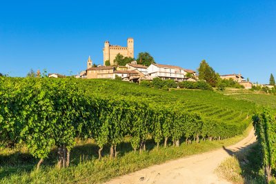 Das Schloss Serralunga in Alba Ein mittelalterliches Schloss neben einem Weinberg