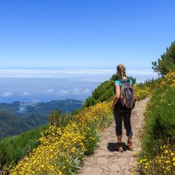 Eine Frau wandert von gelben Blüten und blickt auf das Meer
