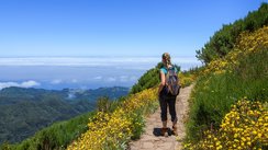 Eine Frau wandert von gelben Blüten und blickt auf das Meer