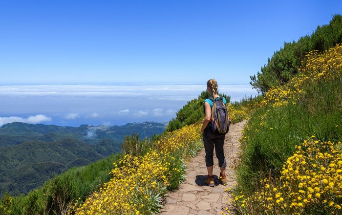 Eine Frau wandert von gelben Blüten und blickt auf das Meer