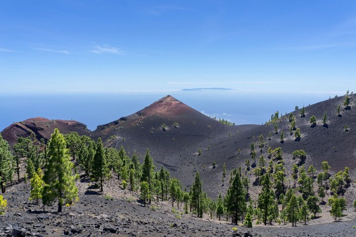 Aus dem Gebirge mit schwarzem Lavagestein eröffnet sich der Blick über eine mit Tannen bestandene Landschaft auf das Meer.