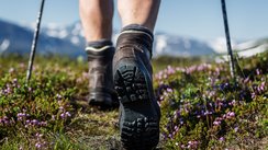 Ein Wanderschuhprofil während des Wanderns in der Natur.