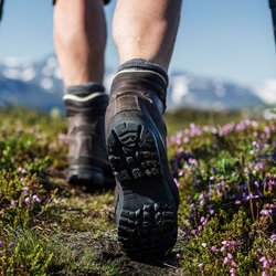 Ein Wanderschuhprofil während des Wanderns in der Natur.