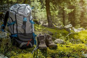 Ein Wanderrücksack steht aufrecht im Wald.