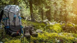 Ein Wanderrücksack steht aufrecht im Wald.