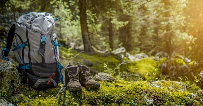 Ein Wanderrücksack steht aufrecht im Wald.